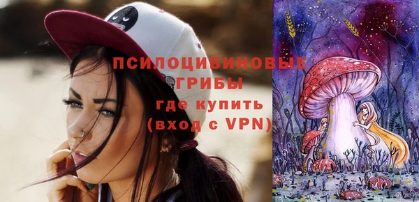 сатива Абаза