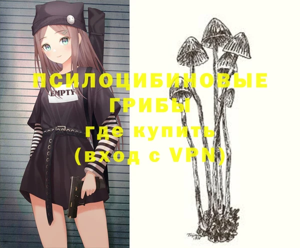 сатива Абаза
